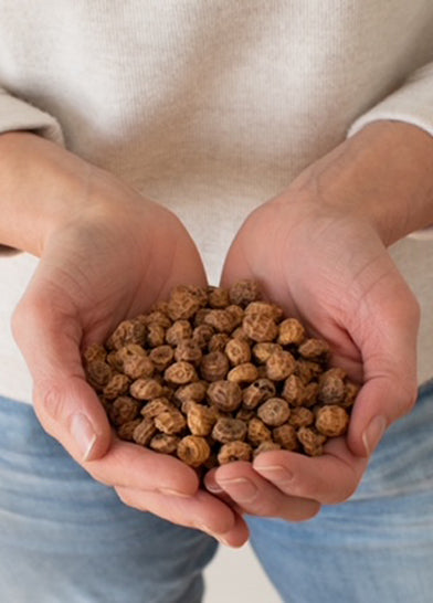 tiger nut aMYLK