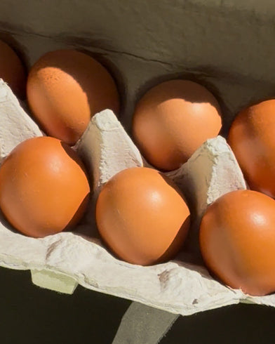 Bee Easy Eggs