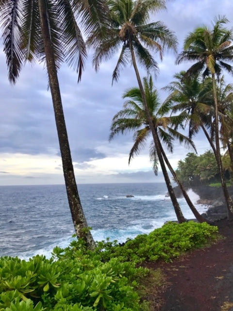 aloha (macadamia-almond) aMYLK